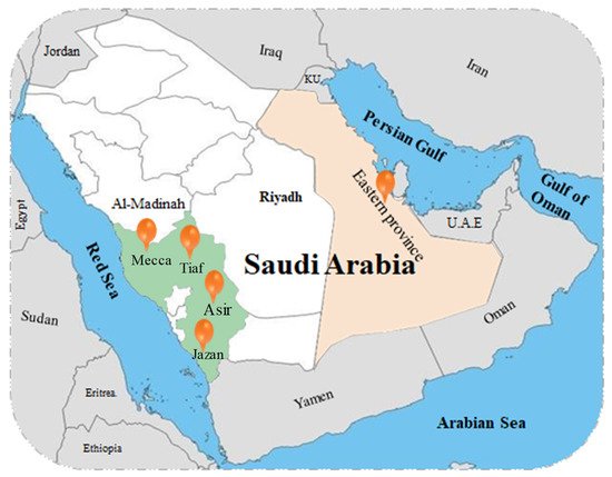 DREAMS OF SAUDI ARABIA
